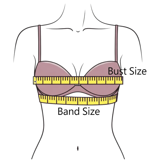 Underbust (band size) and bust (cup size) measurement positions.